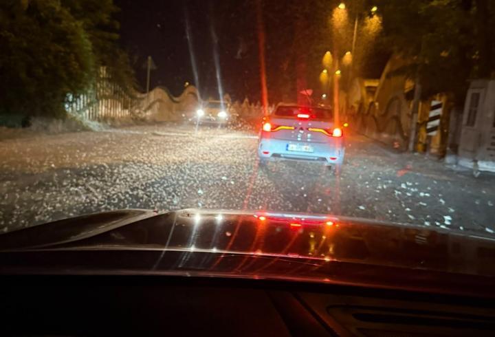 Sakarya'da milyonlarca kelebeğin ölüm dansı