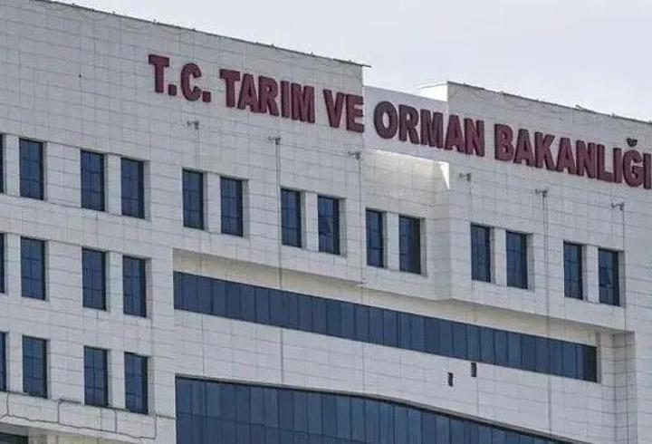 İthalatta yeni düzenleme yürürlüğe girdi! Tarım Bakanlığının kontrol listesi güncellendi