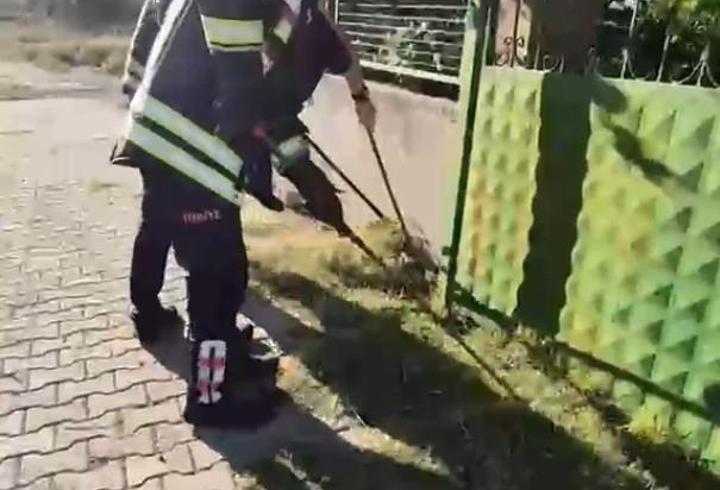 Evin avlusuna giren yılan itfaiye ekipleri tarafından yakalandı