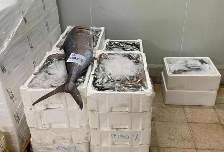 İzmir'de yasa dışı su ürünlerine el konuldu