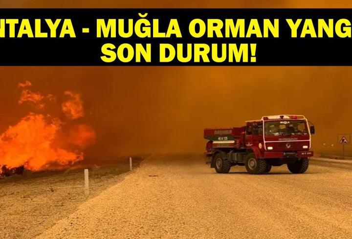 MUĞLA ORMAN YANGINI SON DURUM: Antalya ve Muğla Orman Yangınında Son Durum Ne? Ölü Yaralı Var Mı? Yangın Nereye Kadar İlerledi?
