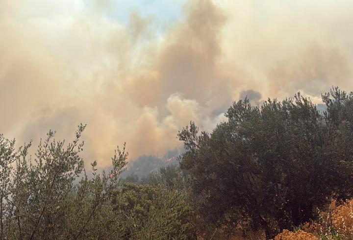 Çanakkale'de arazi yangını