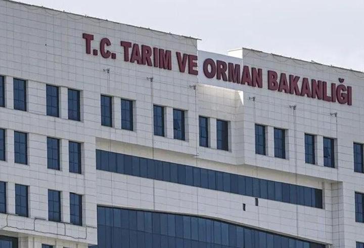 7 ilde orman yangını alarmı! Tarım ve Orman Bakanlığı: Müdahale sürüyor