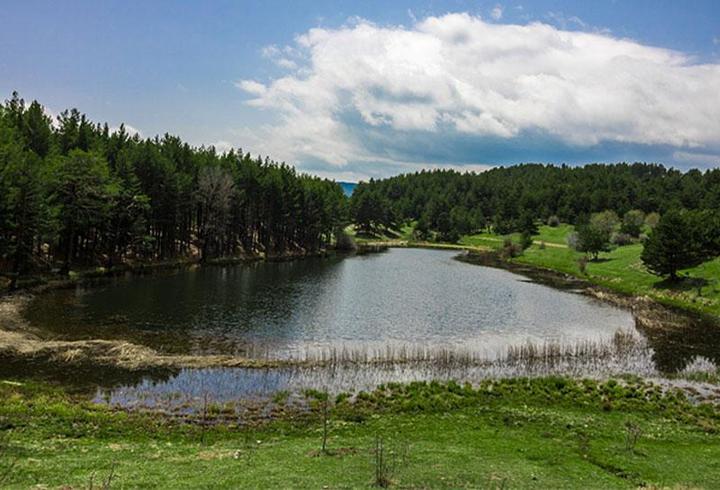 Ankara'da ormanlara giriş yasağı uzatıldı