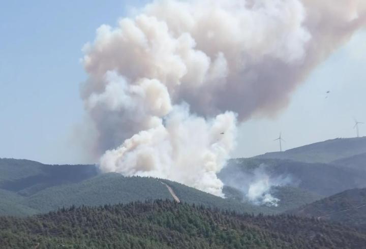 CNN TÜRK bölgede: Susurluk'ta yangın tekrar başladı