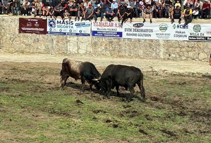 Yusufeli'de Salikvan Yayla Festivali yapıldı