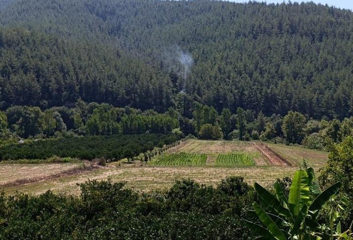 Sumbas'ta orman yangını söndürüldü