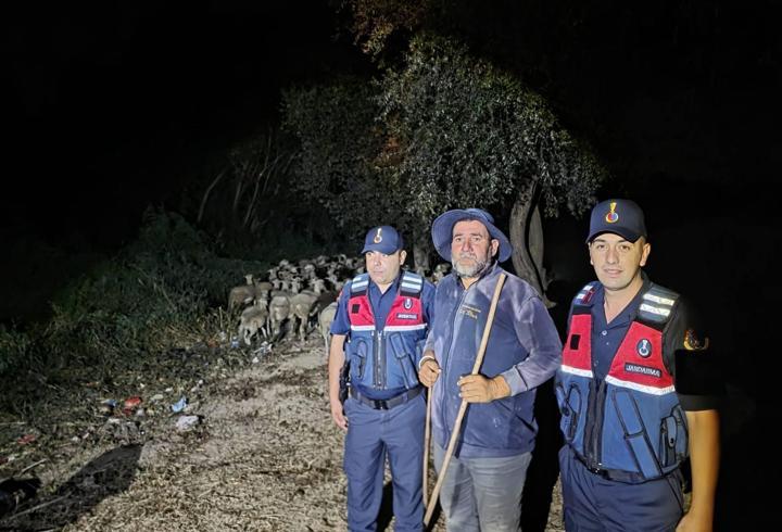 Bilecik'te küçükbaş hayvanlarla kaybolan çoban dron yardımıyla bulundu