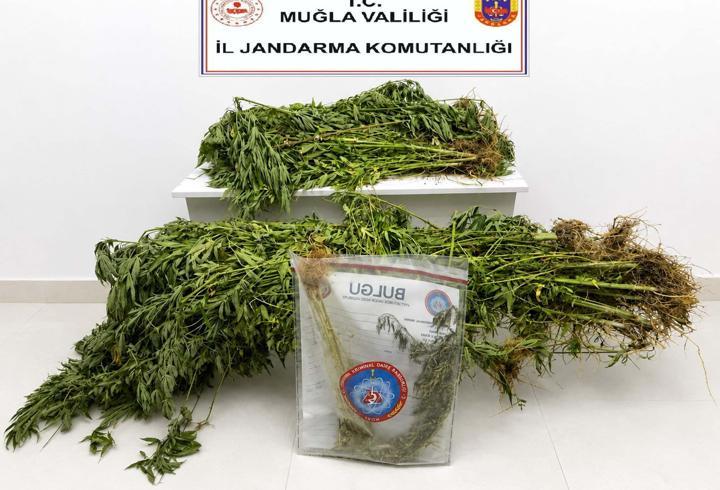 Muğla'da uyuşturucu operasyonlarında 33 tutuklama