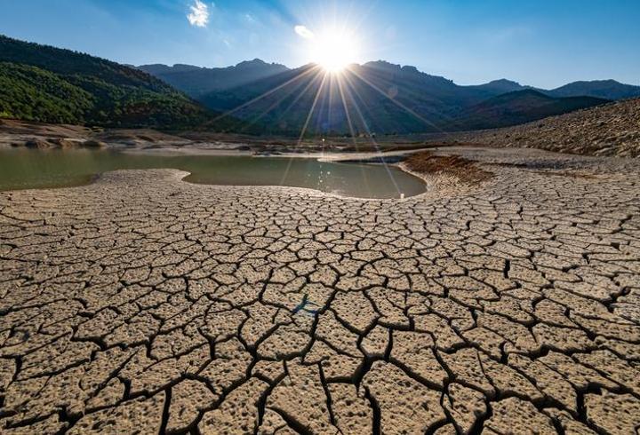Avrupa'da kuraklık alarmı! Ren ve Tuna'da su seviyeleri tarihi düzeylerde