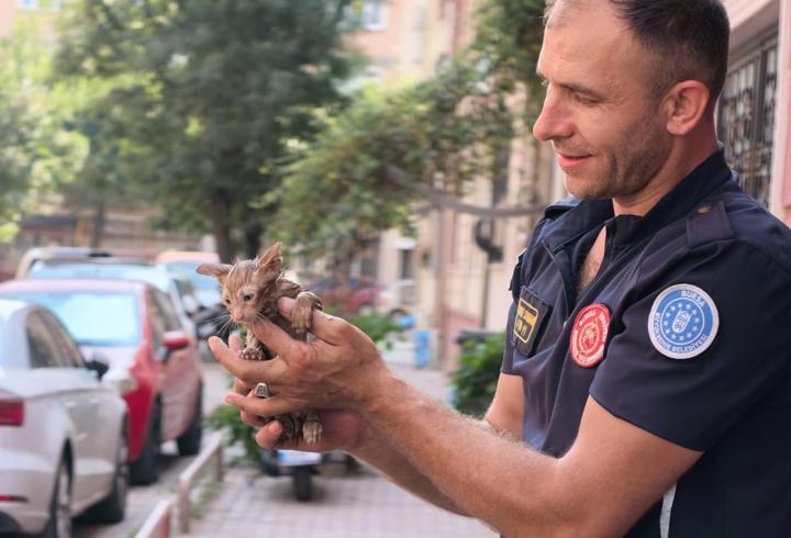 Gider borusuna sıkışan kediyi itfaiye ekipleri kurtardı