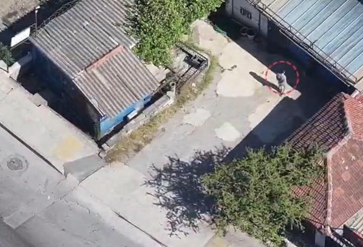 Sancaktepe’de uyuşturucu operasyounun 191 kilogram uyuşturucu ele geçirildi