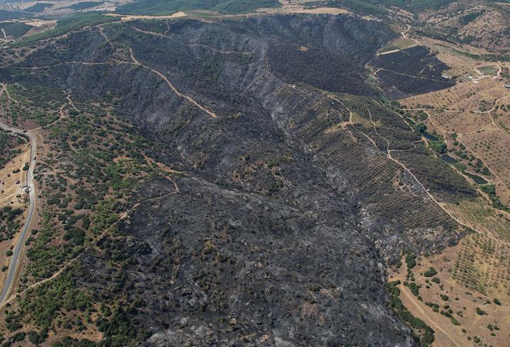 Manisa'daki orman yangınında zarar gören alanlar dronla görüntülendi