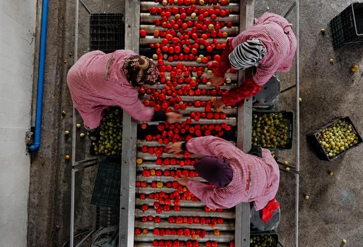 Kulaca'da salça sezonu başladı