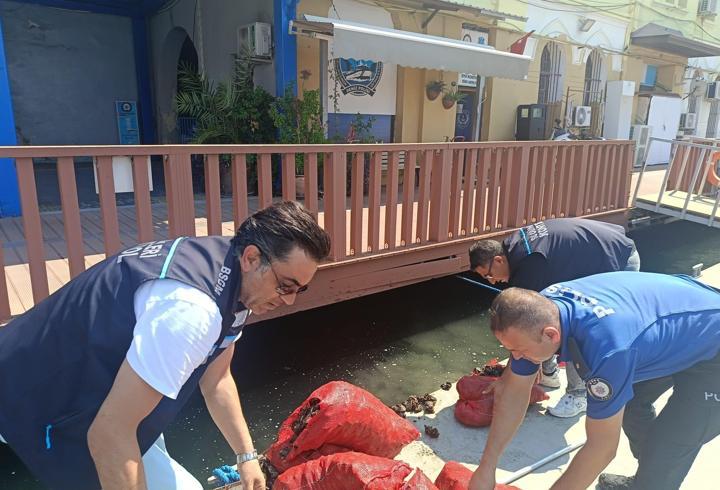 İzmir’de yasa dışı yollarla avlanılan 560 kilo kara midyeye el konuldu