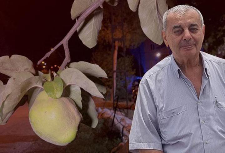 Ayva dalı ölüm getirdi: Fransa'dan geldi amcasına ateş etti
