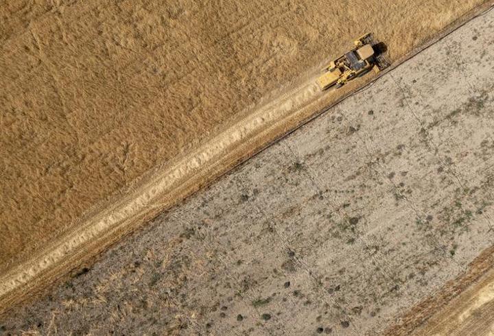 Yapay zekaya güvendi, tarlası kurudu: 25 dönümlük mahsul yok oldu