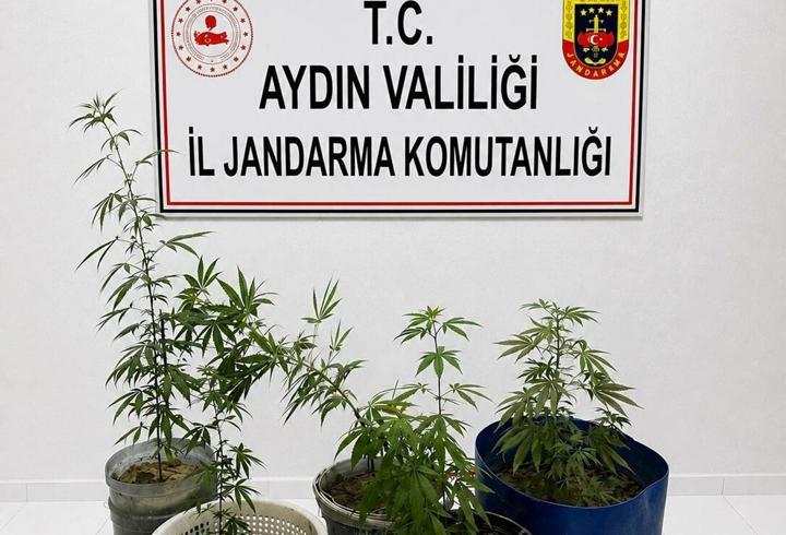Kuşadası'nda uyuşturucu operasyonu: 3 gözaltı