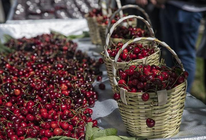 Türkiye'nin kiraz ihracatında büyük sıçrama: 235 milyon dolar gelir