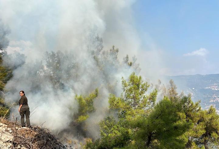 Antalya'da 2 ilçede orman yangını: Kontrol altına alındı