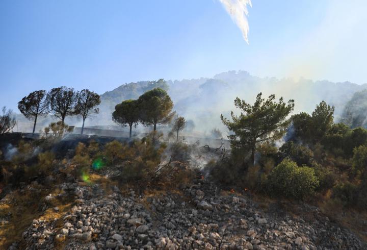 Antalya'nın 2 ilçesinde orman yangını/Ek fotoğraflar