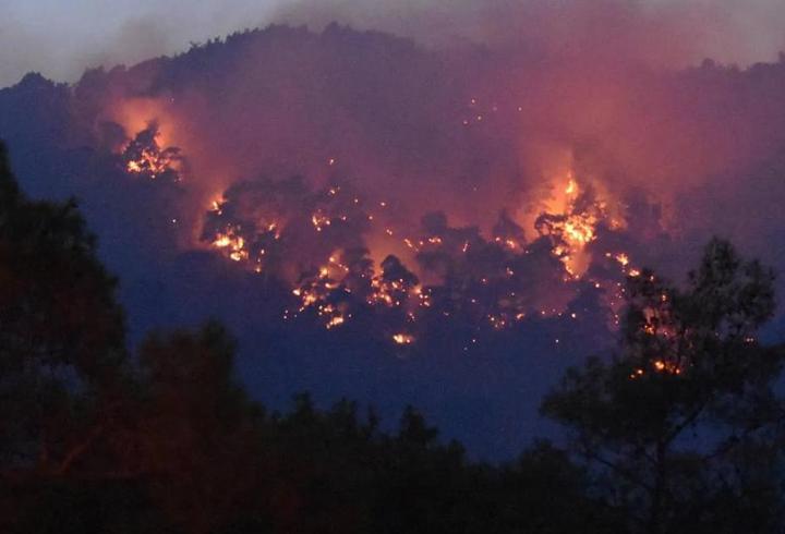 Antalya Kemer'de korkutan orman yangını