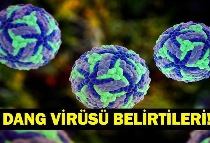 DANG VİRÜSÜ NEDİR, ÖLÜMCÜL MÜ? Dang virüsü Belirtileri Neler, Nasıl Bulaşır? Serdar Akinan'dan Dang Virüsü Açıklaması!