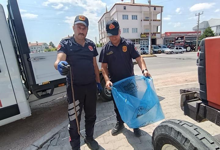 İş yerinde görülen yılanı itfaiye yakalayıp, doğal yaşam alanına bıraktı