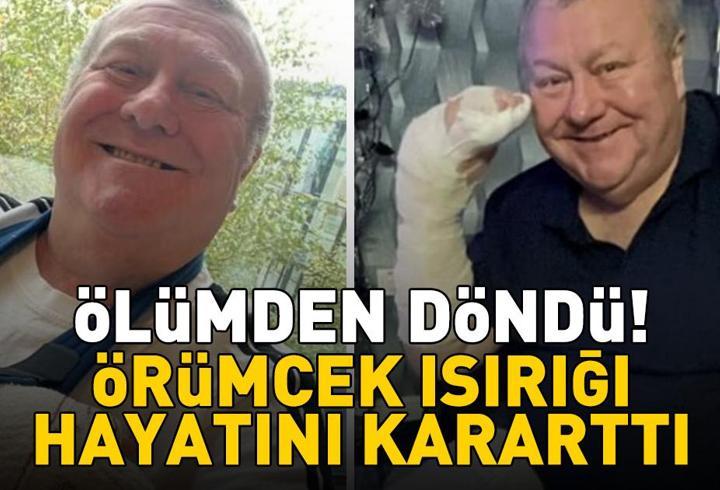 Örümcek ısırığı hayatını kararttı! 61 yaşındaki adam ölümden döndü