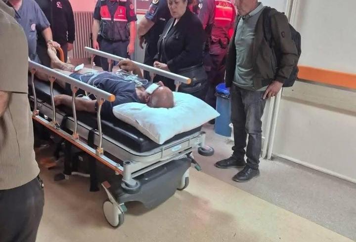 Ayı saldırısına uğradı, köpekleri sayesinde kurtuldu