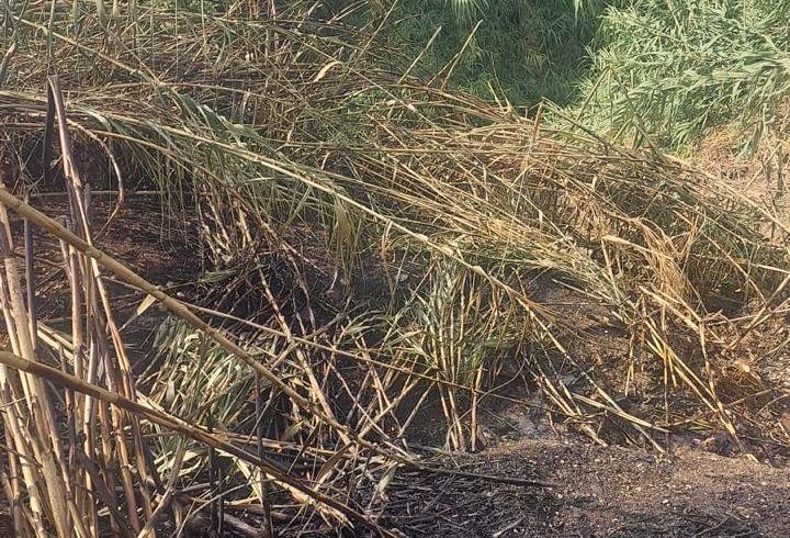 Alanya'da otluk alanda çıkan yangın söndürüldü