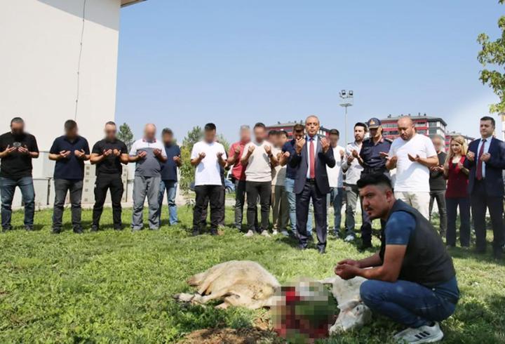 Emniyet ve jandarma, TEM personeli için kurban kesti