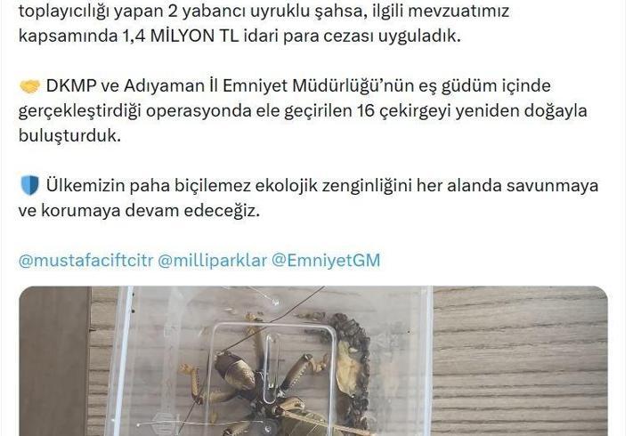 Nemrut Dağı'ndan çekirge toplayan 2 kişiye 1,4 milyon lira ceza