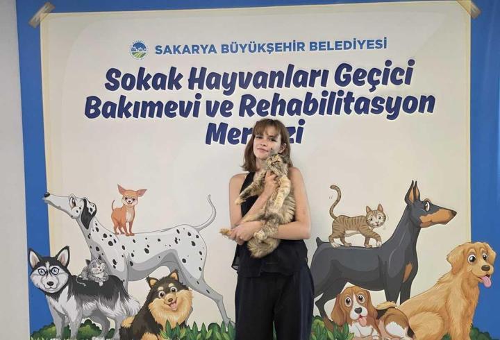 Sakarya'da 700 sahipsiz hayvan yeni yuvasına kavuşturuldu