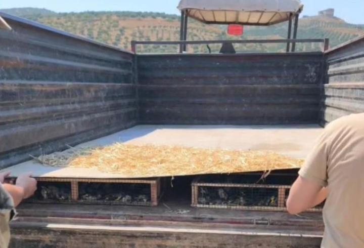 Traktörün römorkunda 2 bin 114 saka ele geçirildi; sürücüye 19,8 milyon TL ceza kesildi