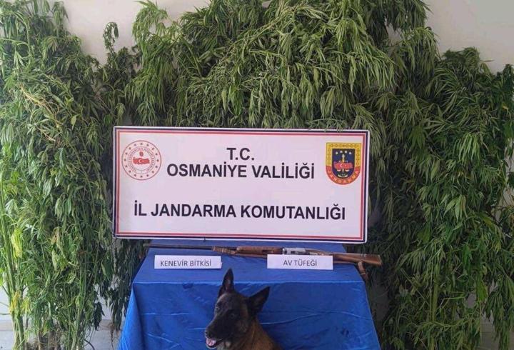 Osmaniye'de 128 şüpheli yakalandı