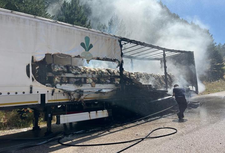 Şeker yüklü TIR’ın dorsesinde çıkan yangın ağaçlara sıçradı