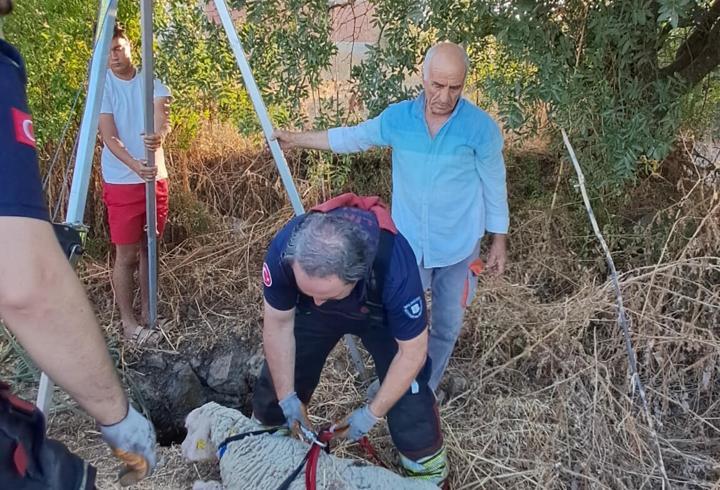 Balıkesir'de kuyuya düşen koyunu itfaiye kurtardı