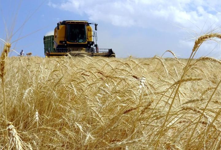 Tarımsal destekleme ödemeleri hesaplara aktarılıyor