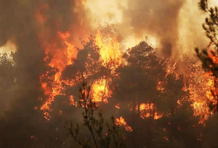 73 orman yangınına ilişkin adli işlem: 12 şüpheli tutuklandı