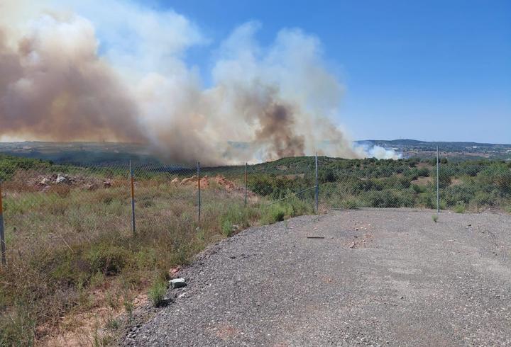 Gebze'de orman yangını