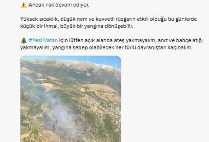 Bursa ve İzmir'de çıkan orman yangınları kontrol altına alındı