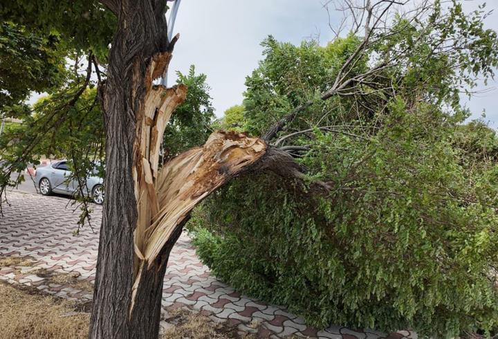 Erciş’te şiddetli fırtına hasara yol açtı