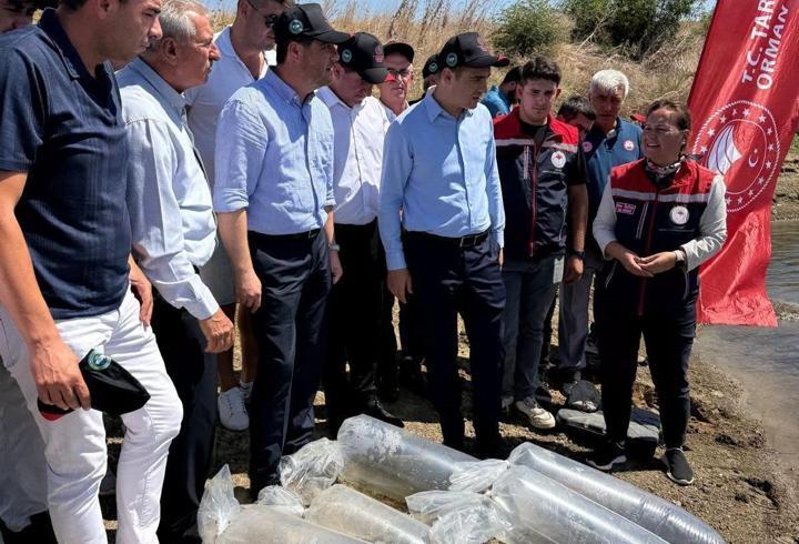 İpsala’da gölete 2 bin yavru sazan balığı bırakıldı