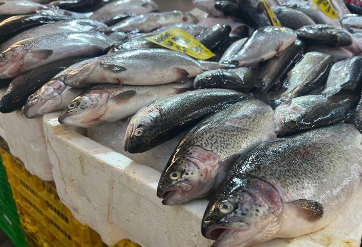 İzmir'de av sezonu başladı, balık tezgahlarında çeşitlilik arttı