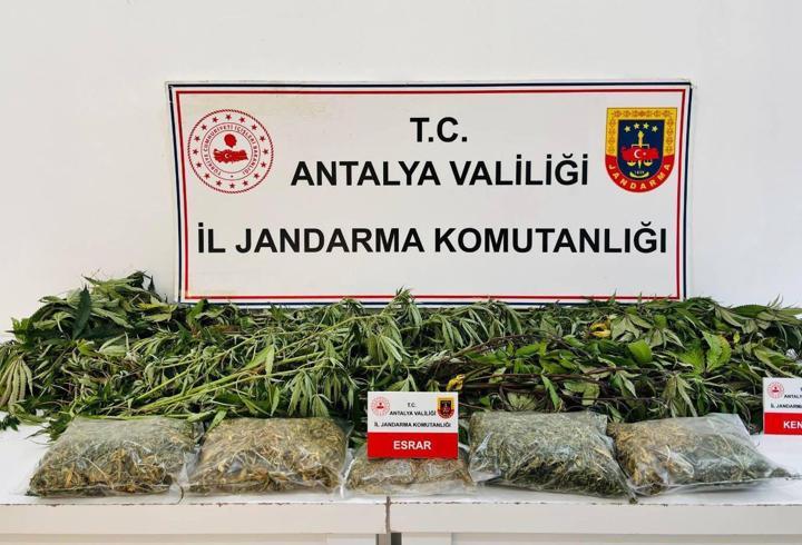 Uyuşturucuya 1 gözaltı