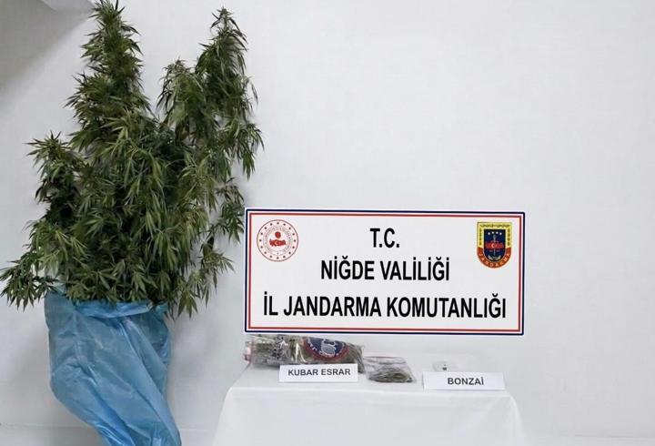 Bor’da uyuşturucu operasyonu; 1 gözaltı