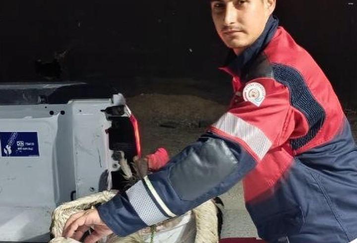 Göç yolundayken bitkin halde bulunan leylek koruma altına alındı