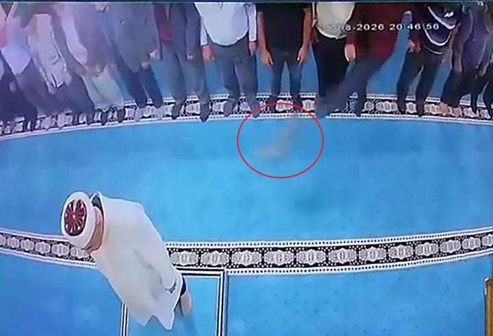 Camide kediye tekme atan kişi gözaltına alındı