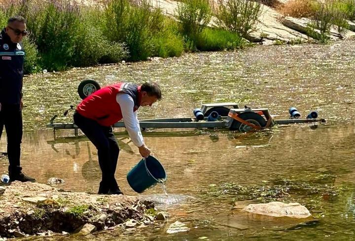Hatay'da baraj ve göllere 682 bin sazan balığı yavrusu bırakıldı